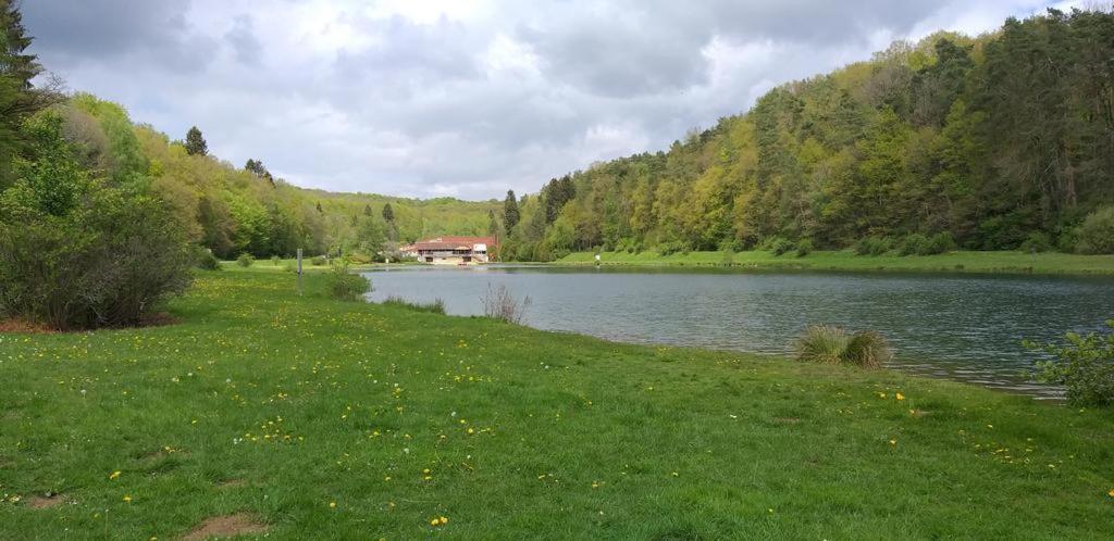 Le repaire des écureuils Vallée de Rabais Virton Esterno foto